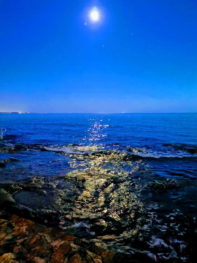 Aria Deluxe Superior 5 Star Apartment, Your Piece Of Heaven By The Sea & Park, With Sea & Park View Novigrad Istria Eksteriør billede