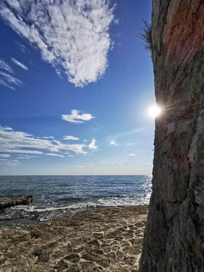 Aria Deluxe Superior 5 Star Apartment, Your Piece Of Heaven By The Sea & Park, With Sea & Park View Novigrad Istria Eksteriør billede